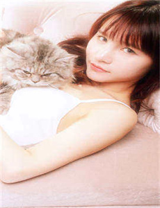 你猜你猜你猜猜猜