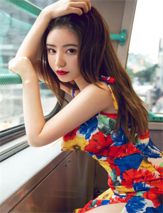 战地迷情电视剧